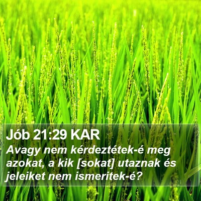 Jób 21:29 KAR Bible Verse Image