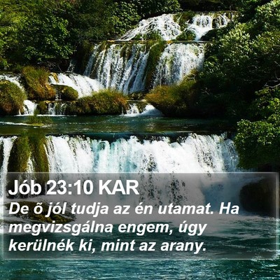 Jób 23:10 KAR Bible Verse Image