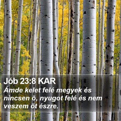 Jób 23:8 KAR Bible Verse Image