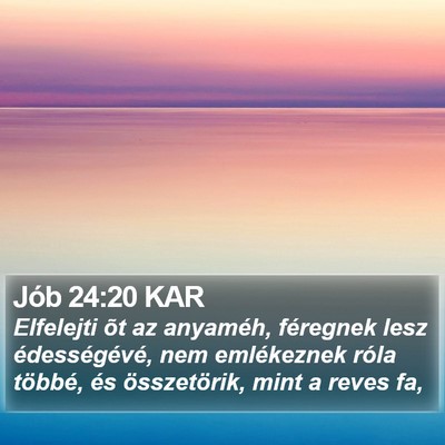 Jób 24:20 KAR Bible Verse Image