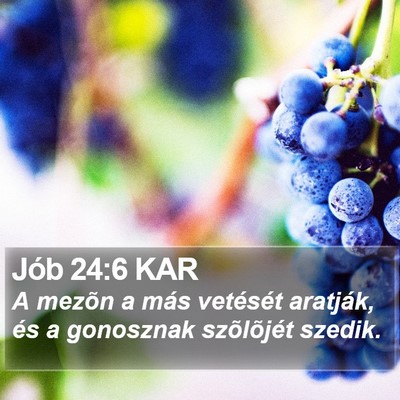 Jób 24:6 KAR Bible Verse Image