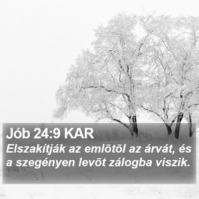Jób 24:9 KAR Bible Verse Image