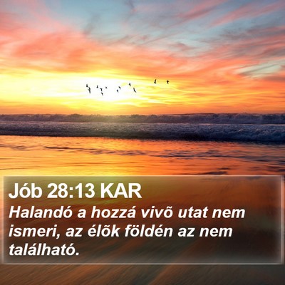 Jób 28:13 KAR Bible Verse Image