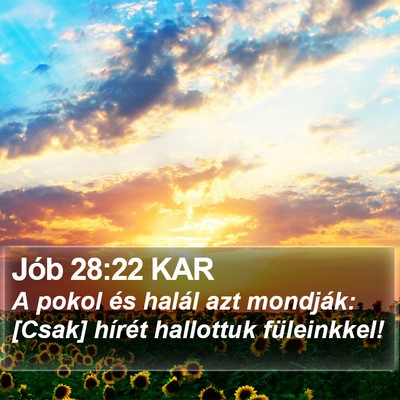 Jób 28:22 KAR Bible Verse Image