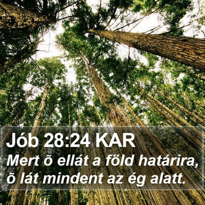 Jób 28:24 KAR Bible Verse Image