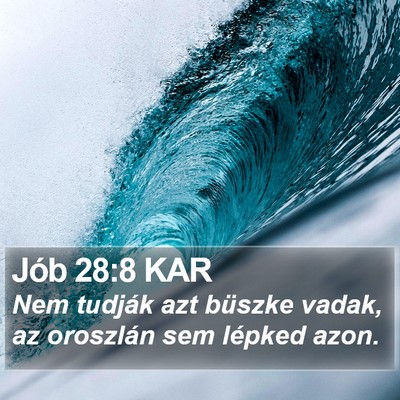 Jób 28:8 KAR Bible Verse Image