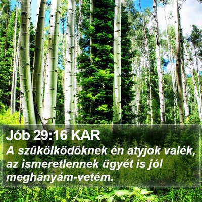 Jób 29:16 KAR Bible Verse Image