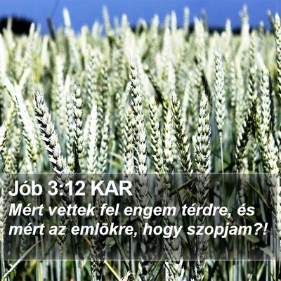 Jób 3:12 KAR Bible Verse Image
