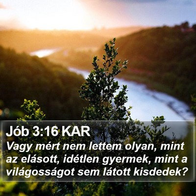 Jób 3:16 KAR Bible Verse Image