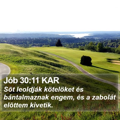 Jób 30:11 KAR Bible Verse Image