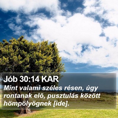 Jób 30:14 KAR Bible Verse Image