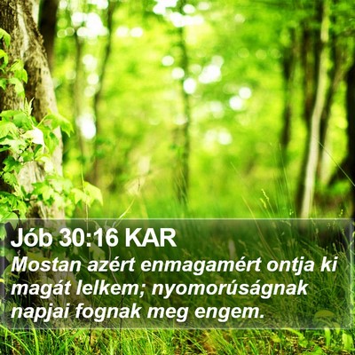 Jób 30:16 KAR Bible Verse Image