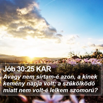 Jób 30:25 KAR Bible Verse Image