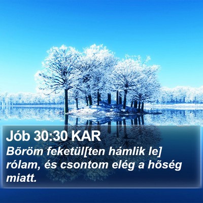 Jób 30:30 KAR Bible Verse Image