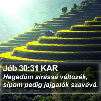 Jób 30:31 KAR Bible Verse Image