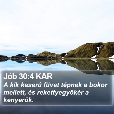 Jób 30:4 KAR Bible Verse Image