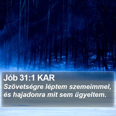 Jób 31:1 KAR Bible Verse Image