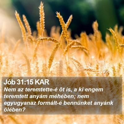 Jób 31:15 KAR Bible Verse Image