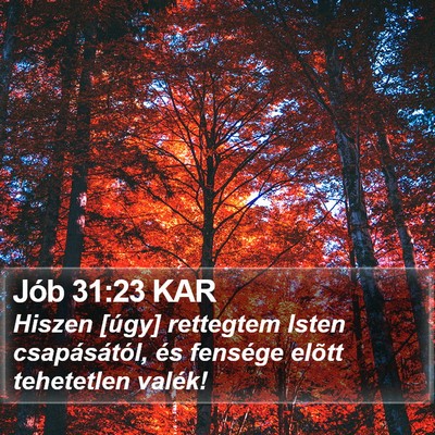 Jób 31:23 KAR Bible Verse Image
