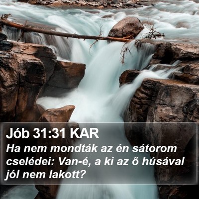 Jób 31:31 KAR Bible Verse Image