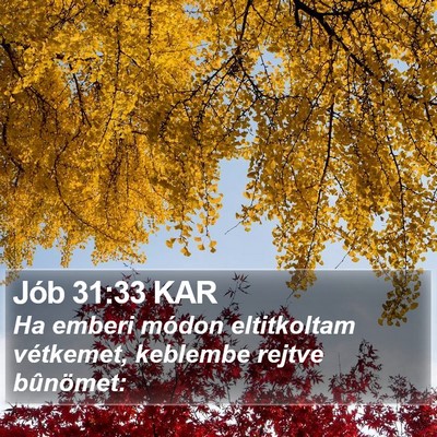 Jób 31:33 KAR Bible Verse Image