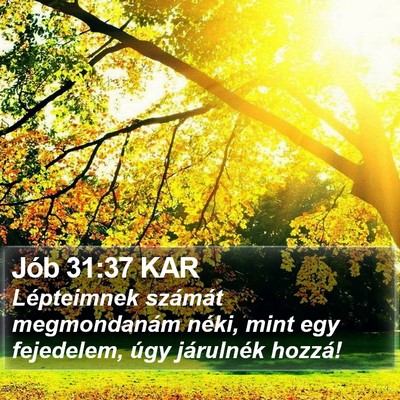 Jób 31:37 KAR Bible Verse Image