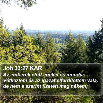 Jób 33:27 KAR Bible Verse Image