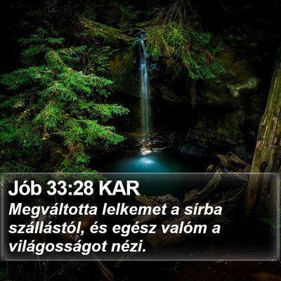 Jób 33:28 KAR Bible Verse Image