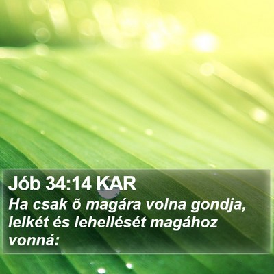 Jób 34:14 KAR Bible Verse Image