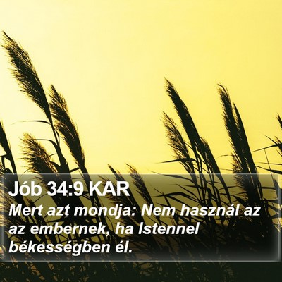 Jób 34:9 KAR Bible Verse Image