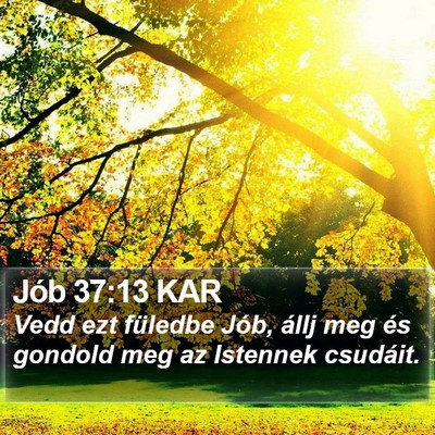 Jób 37:13 KAR Bible Verse Image