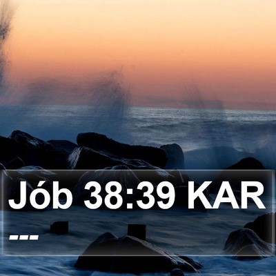 Jób 38:39 KAR Bible Verse Image
