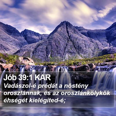 Jób 39:1 KAR Bible Verse Image