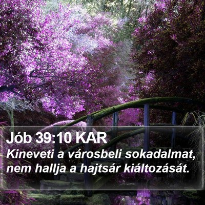 Jób 39:10 KAR Bible Verse Image