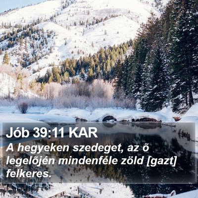 Jób 39:11 KAR Bible Verse Image