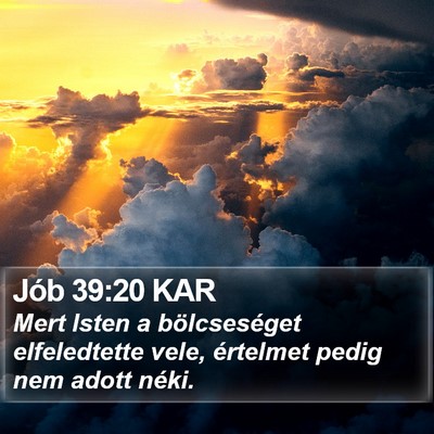 Jób 39:20 KAR Bible Verse Image