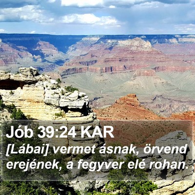 Jób 39:24 KAR Bible Verse Image