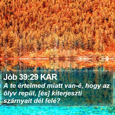 Jób 39:29 KAR Bible Verse Image