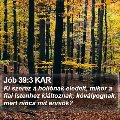 Jób 39:3 KAR Bible Verse Image
