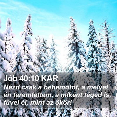 Jób 40:10 KAR Bible Verse Image