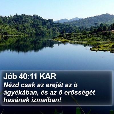 Jób 40:11 KAR Bible Verse Image