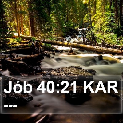 Jób 40:21 KAR Bible Verse Image