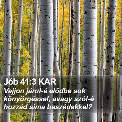 Jób 41:3 KAR Bible Verse Image