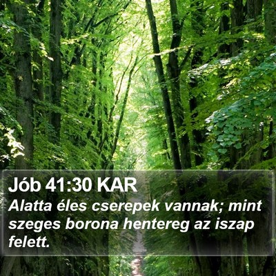 Jób 41:30 KAR Bible Verse Image
