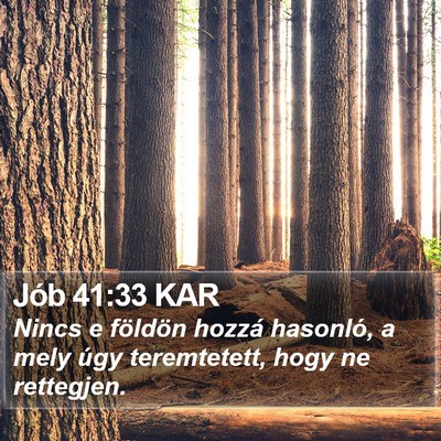 Jób 41:33 KAR Bible Verse Image