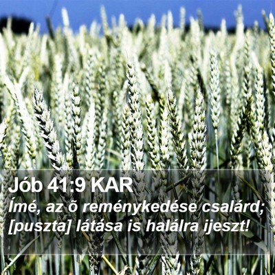 Jób 41:9 KAR Bible Verse Image