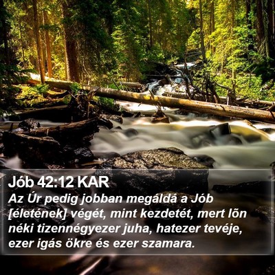 Jób 42:12 KAR Bible Verse Image