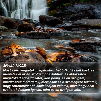 Jób 42:8 KAR Bible Verse Image