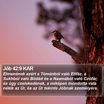 Jób 42:9 KAR Bible Verse Image