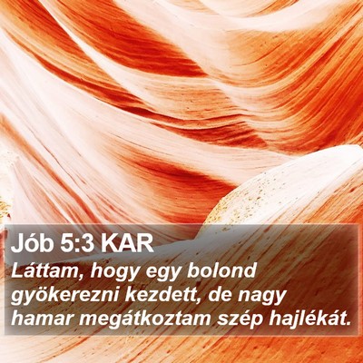 Jób 5:3 KAR Bible Verse Image